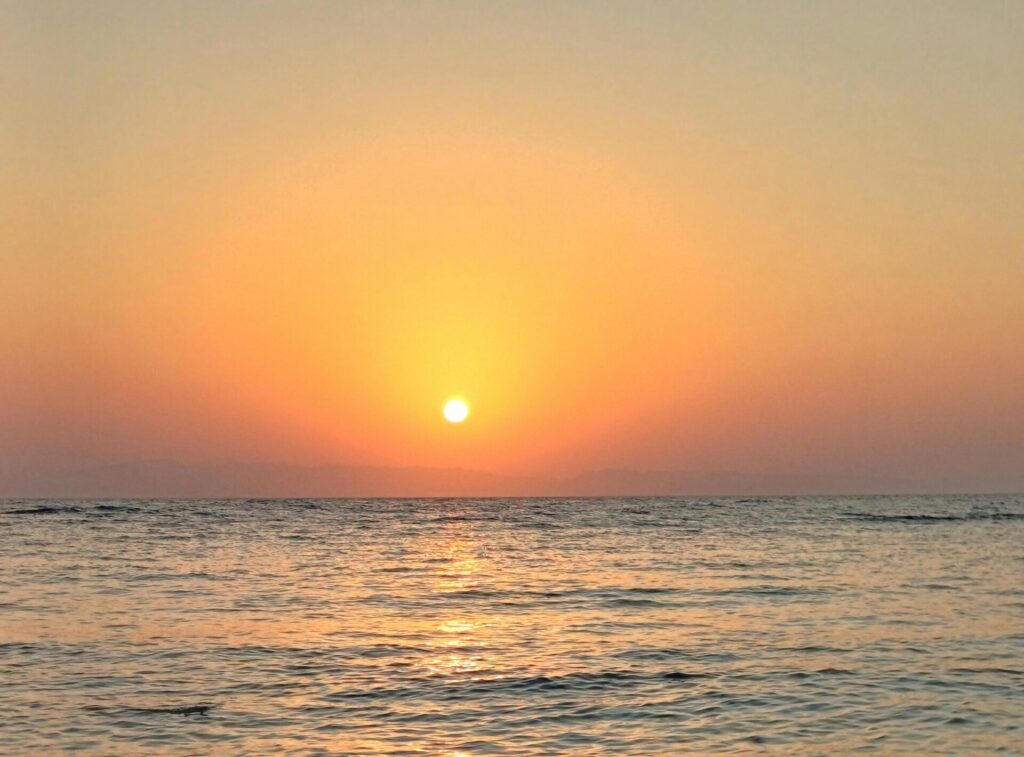 경주 12월 축제 미디어아트전시 플래시백 계림 자율주행 셔틀버스 제야의 종 타종식 해룡일출축제