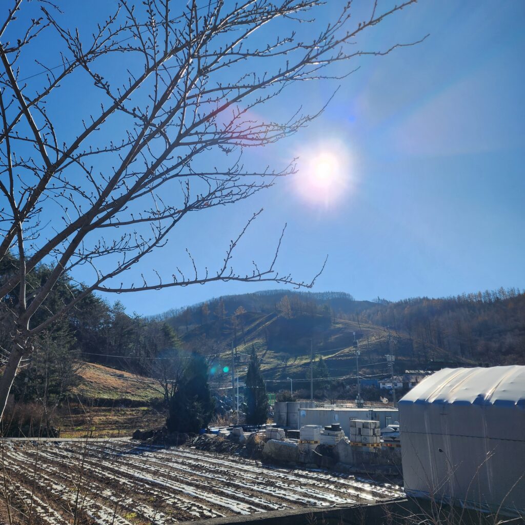 방방곳곳 캡틴후크태백점 근처 맛집 6