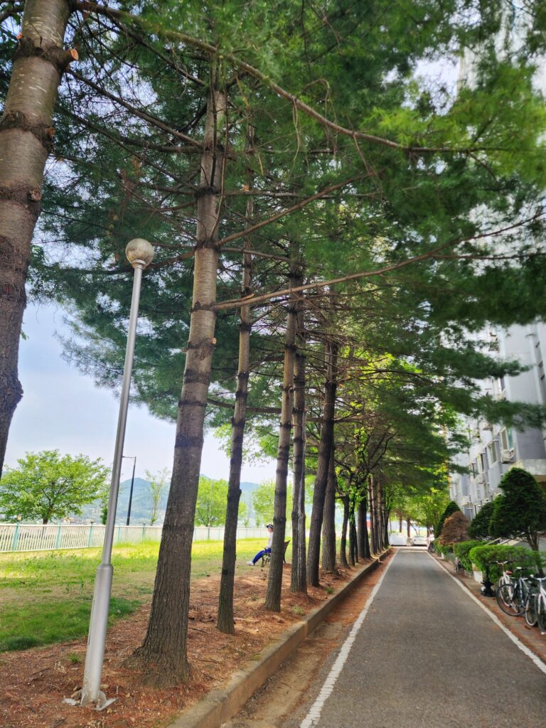충주점 사진